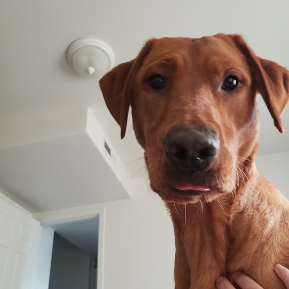 meggey_lou